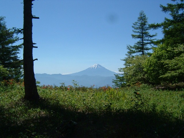 甘利山富士山 006a.jpg